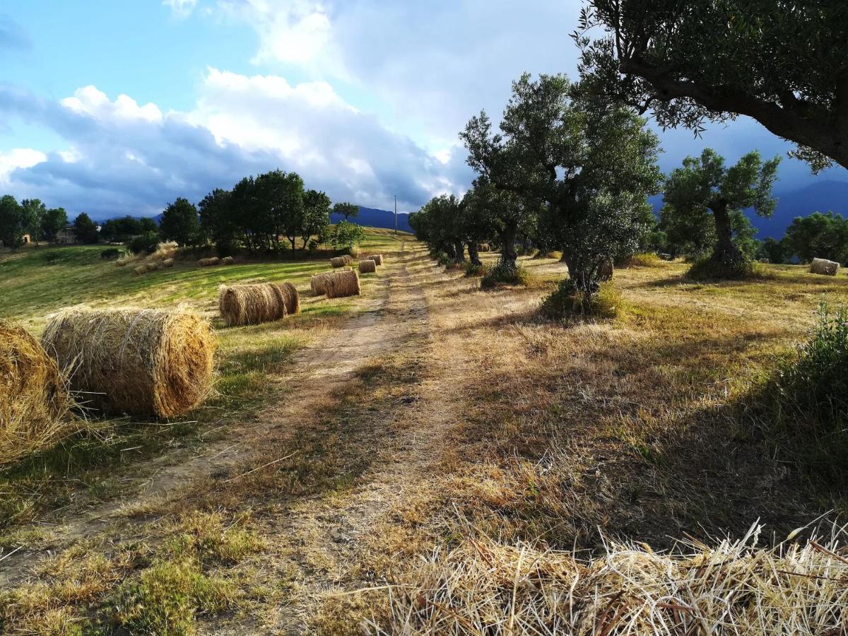La dimora di Radha Bed & Breakfast Rende Bagian luar foto
